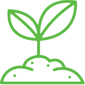 Recuperação e Compensação Ambiental