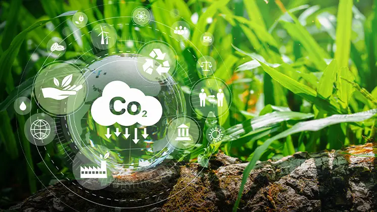 Dia mundial de meio ambiente